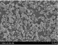 �u�΁i�����J���V�E���j