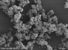 �u�΁i�����J���V�E���j