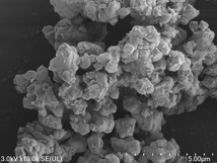 �u�΁i�����J���V�E���j